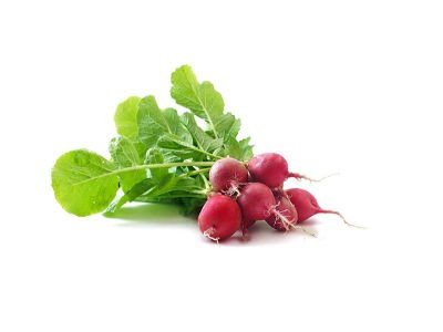 Turp (MİNİK)