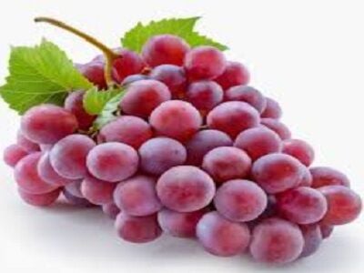 Üzüm Redglobe-İTHAL