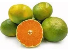 Mandalina Naturel No: 0, 00, 000