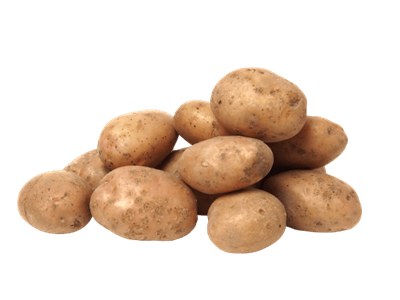 Patates Agria