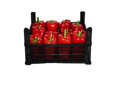 Biber Kaliforniya Kırmızı